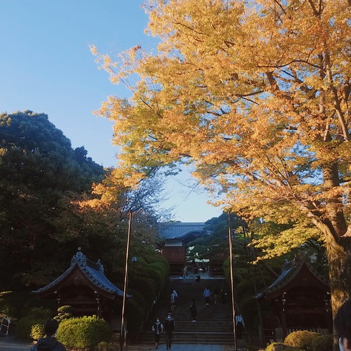 護国寺4
