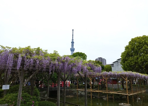 莠謌ク螟ゥ逾杤IMG_20250420_104803