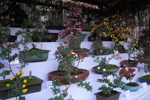向島百花園