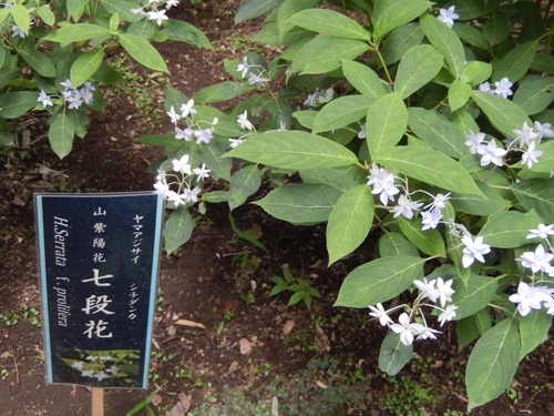 DSCN0820