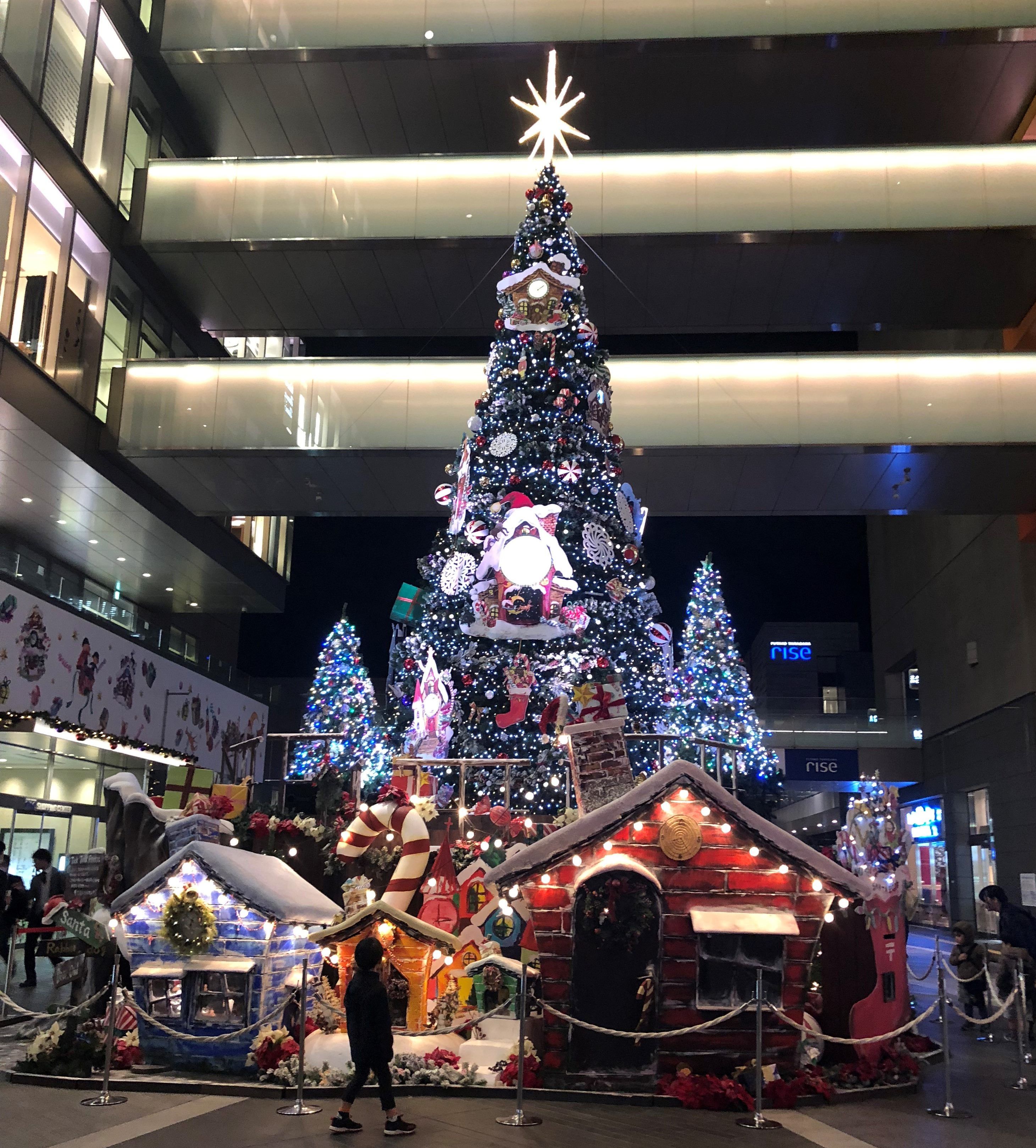 Ryoko Blog 墨田区ol通販物語 温かみのあるクリスマスに Livedoor Blog ブログ Ryoko Blog 墨田区ol通販物語 温かみのあるクリスマスに Livedoor Blog ブログ