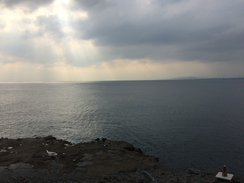 写真 2016-03-12 15 09 44