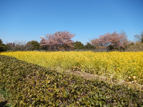 DSCN9604