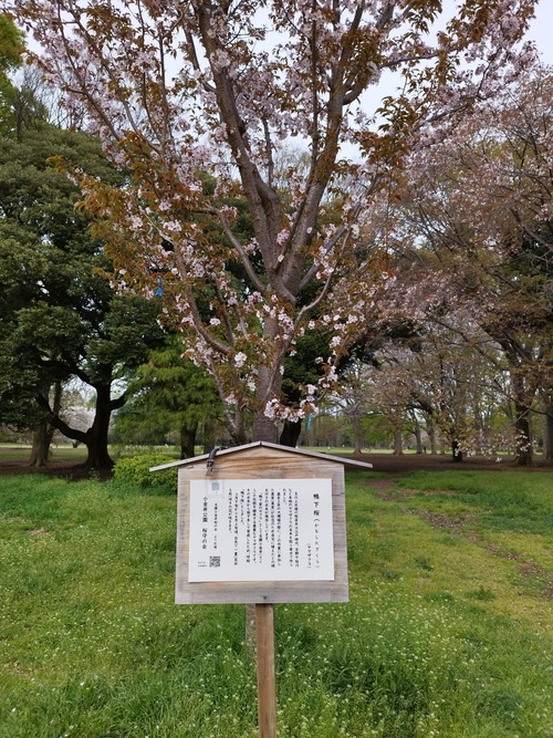 蟆城≡莠募・蝨箪IMG_20250411_150529