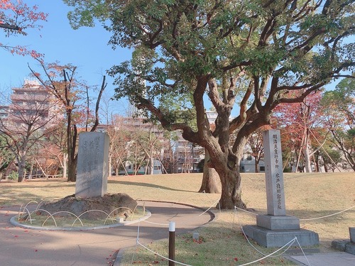 隅田公園5