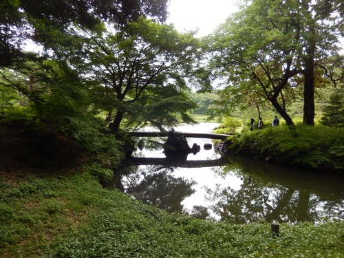 DSCN0807