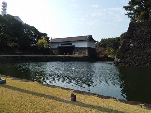 DSCN9769