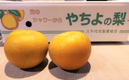 あきづき