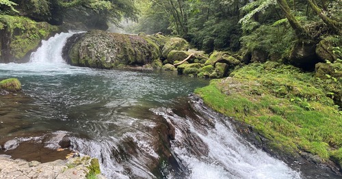 rectangle_large_type_2_5b59fd3508681d97bcf40cbf91ee1db8