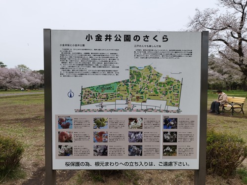 蟆城≡莠募・蝨箪IMG_20250411_131740