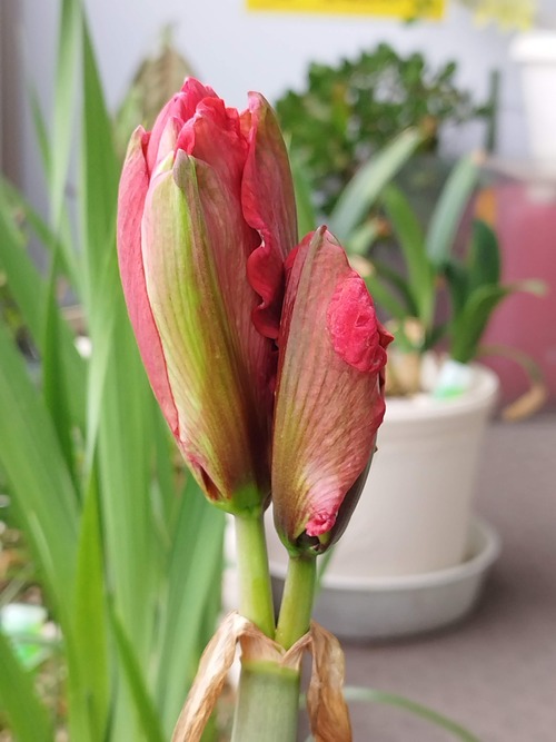 IMG_20250512_080045