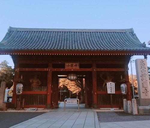 護国寺6