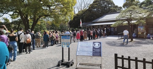 IMG_20230311_131901