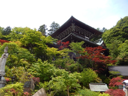 DSCN0386