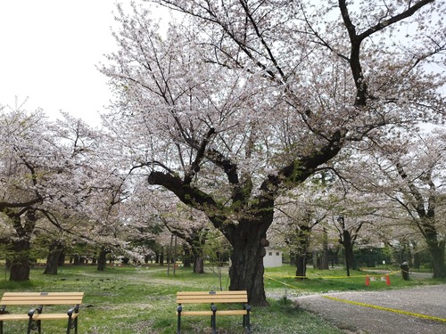 蟆城≡莠募・蝨箪IMG_20250411_134634