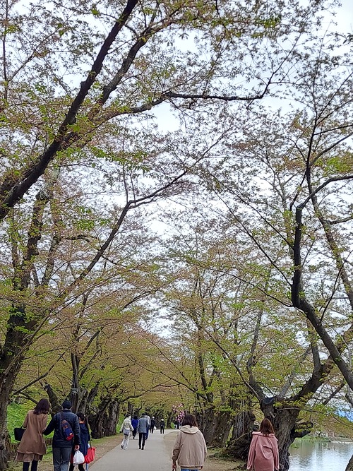 弘前公園4