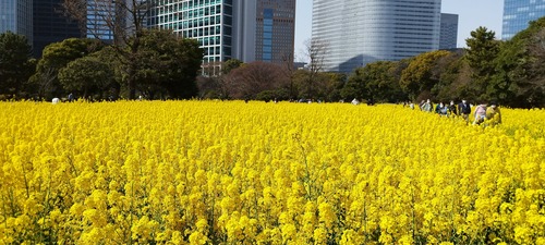 IMG_20230311_133544
