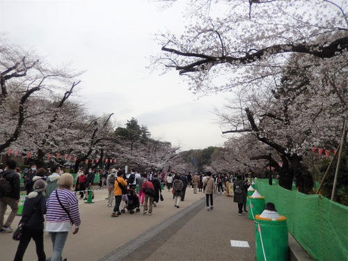 DSCN9096
