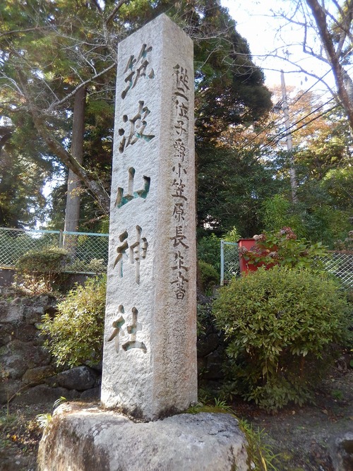 DSCN9659