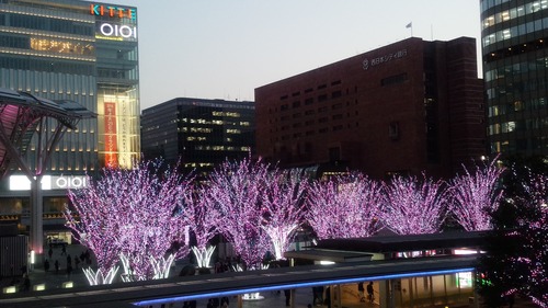 桜イルミwith OIOI