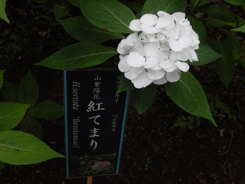 DSCN0824