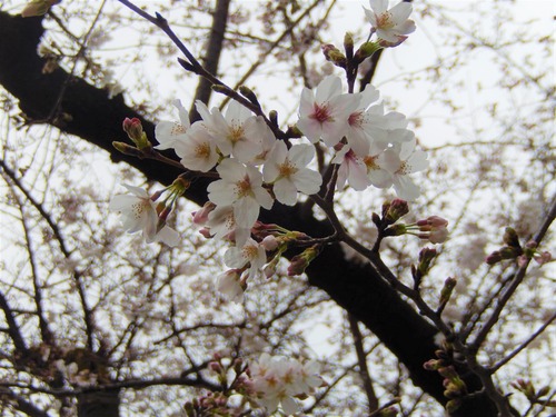 DSCN9097