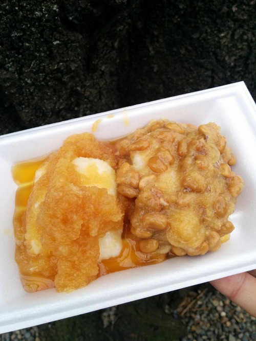 IMG_20151223_113559[1]