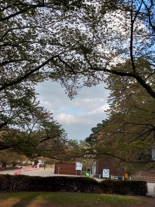 弘前公園5