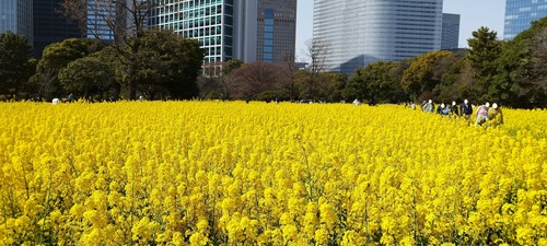 IMG_20230311_133544