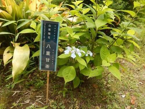 DSCN0800