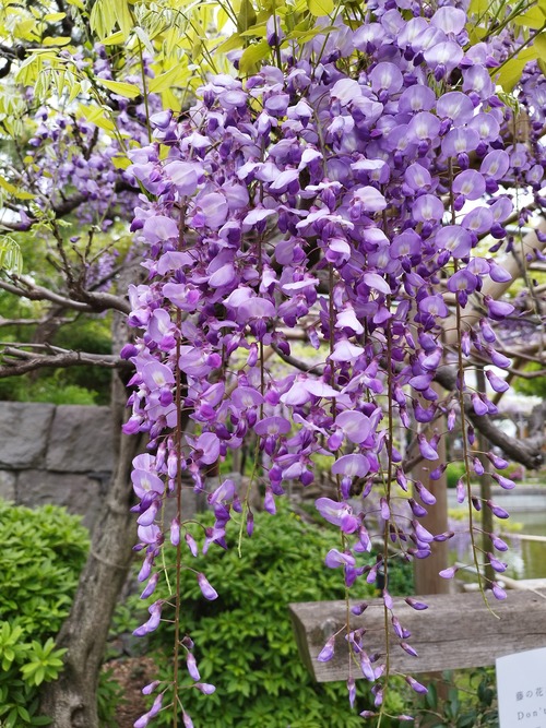 莠謌ク螟ゥ逾杤IMG_20250420_105701