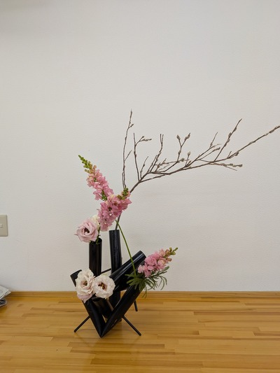 PXL_20260113_061659710