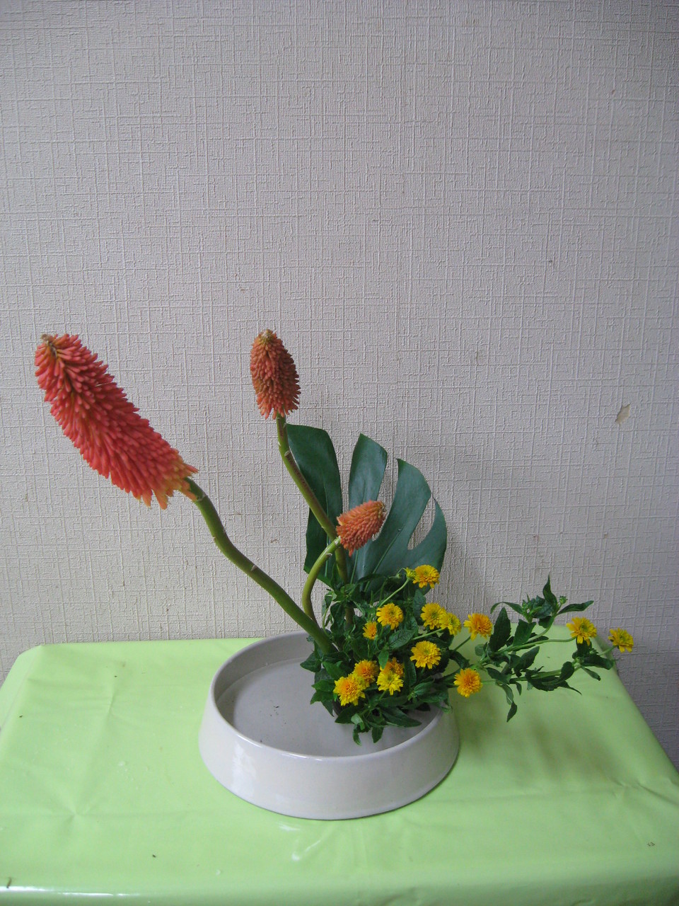トリトマ作品 草月流上村春洸ぎゃらりー トリトマ作品 草月流上村春洸ぎゃらりー