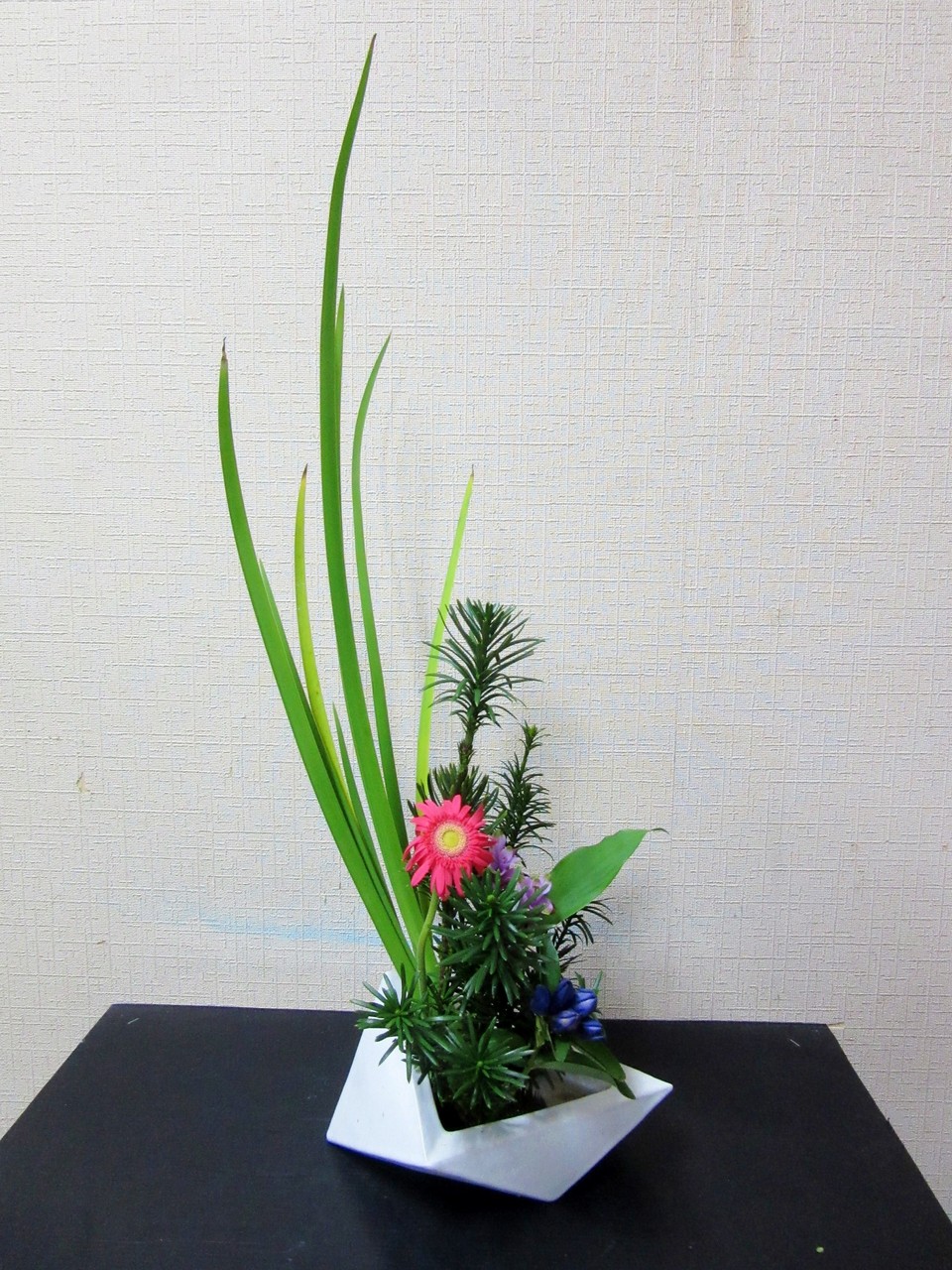 教室作品 生け花の力 草月流上村春洸ぎゃらりー 教室作品 生け花の力 草月流上村春洸ぎゃらりー