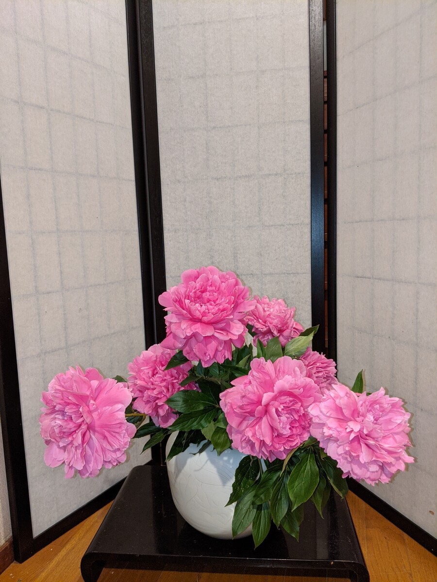 芍薬用壺 : 草月流上村春洸ぎゃらりー