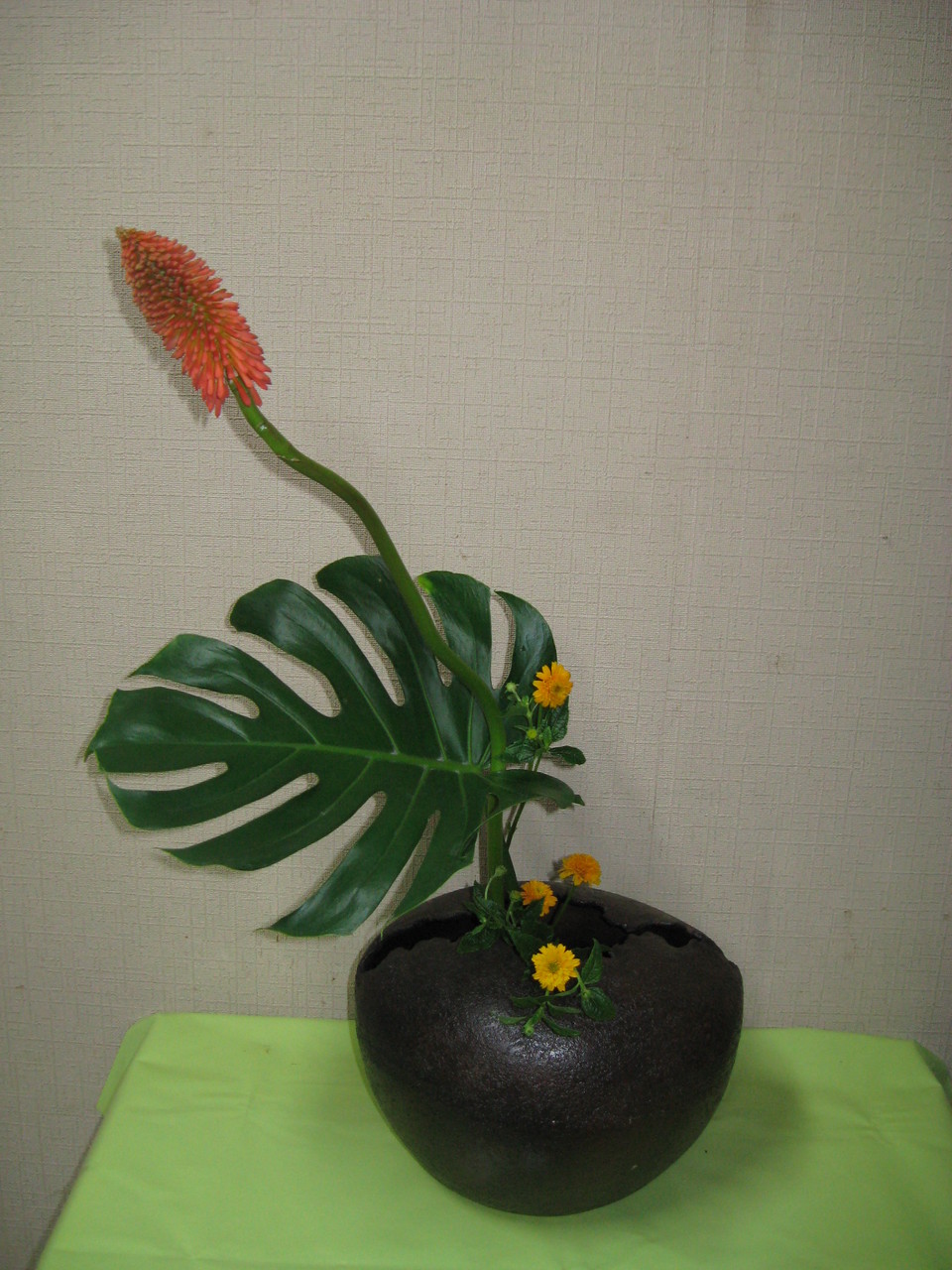トリトマ作品 草月流上村春洸ぎゃらりー トリトマ作品 草月流上村春洸ぎゃらりー