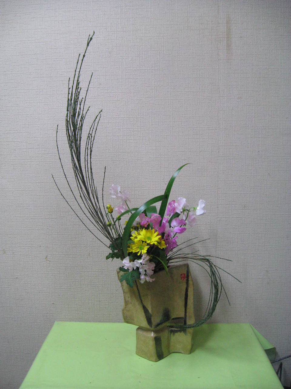 いろんな表情の石化エニシダ 草月流上村春洸ぎゃらりー