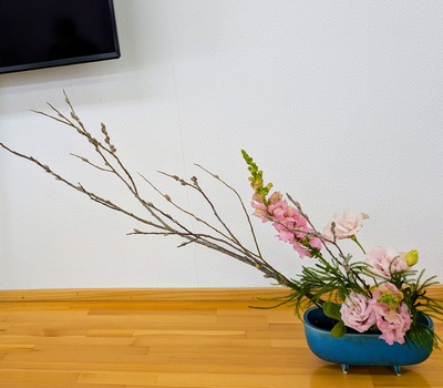 PXL_20260113_054639693~3