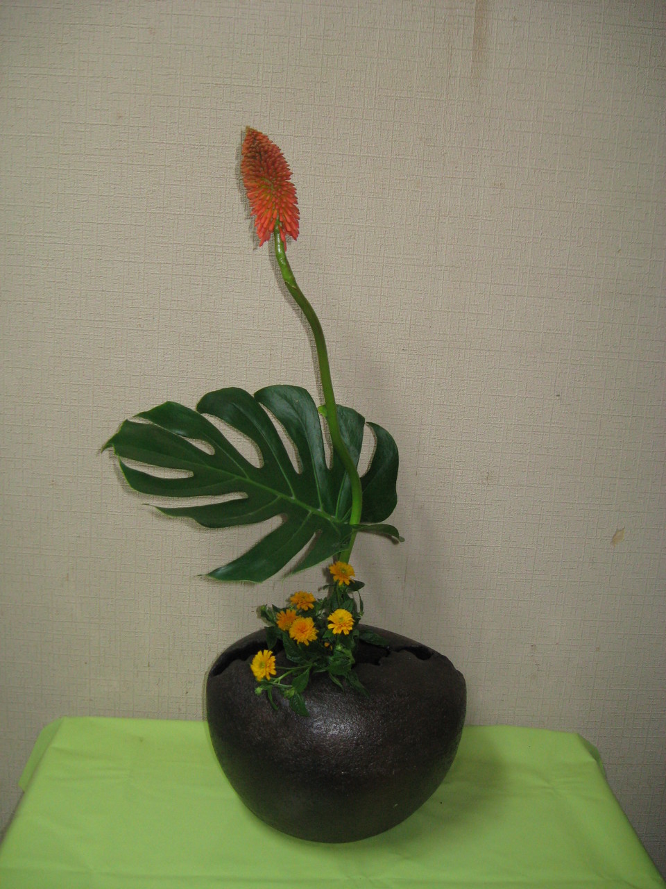 トリトマ作品 草月流上村春洸ぎゃらりー トリトマ作品 草月流上村春洸ぎゃらりー