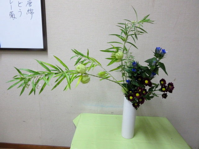 フウセントウワタの作品 草月流上村春洸ぎゃらりー