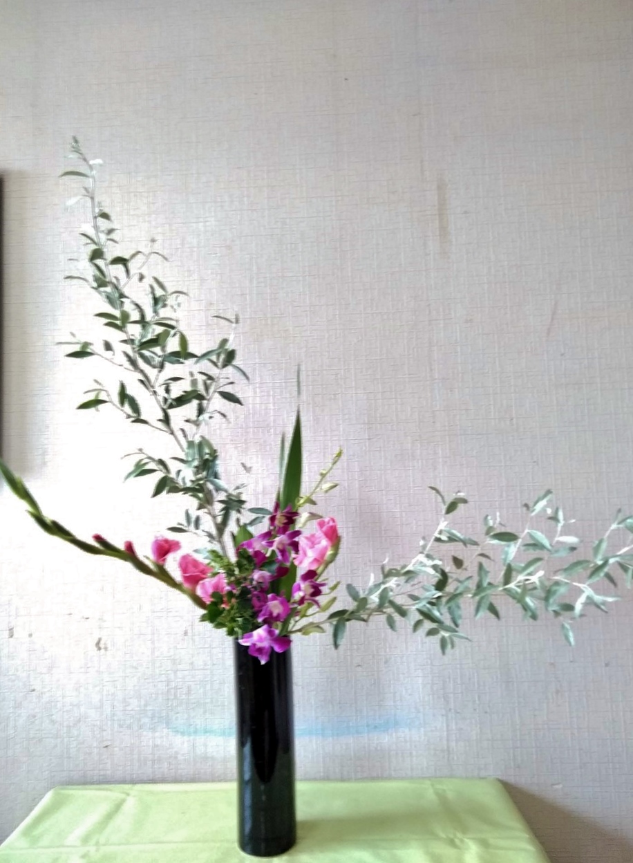 今年人気のブランド品や 素敵です ロシアンオリーブとツメクサ 植物 観葉植物 Www Smithsfalls Ca 今年人気のブランド品や 素敵です ロシアンオリーブとツメクサ 植物 観葉植物 Www Smithsfalls Ca