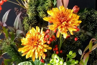 IMG_2025-12-25-15-13-18-286