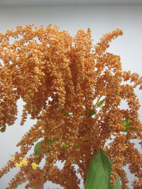 草月流上村春洸ぎゃらりー 生徒さんの作品