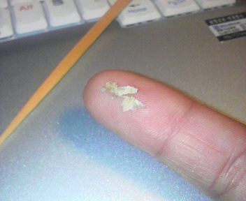 カムバック 立嶋な日常