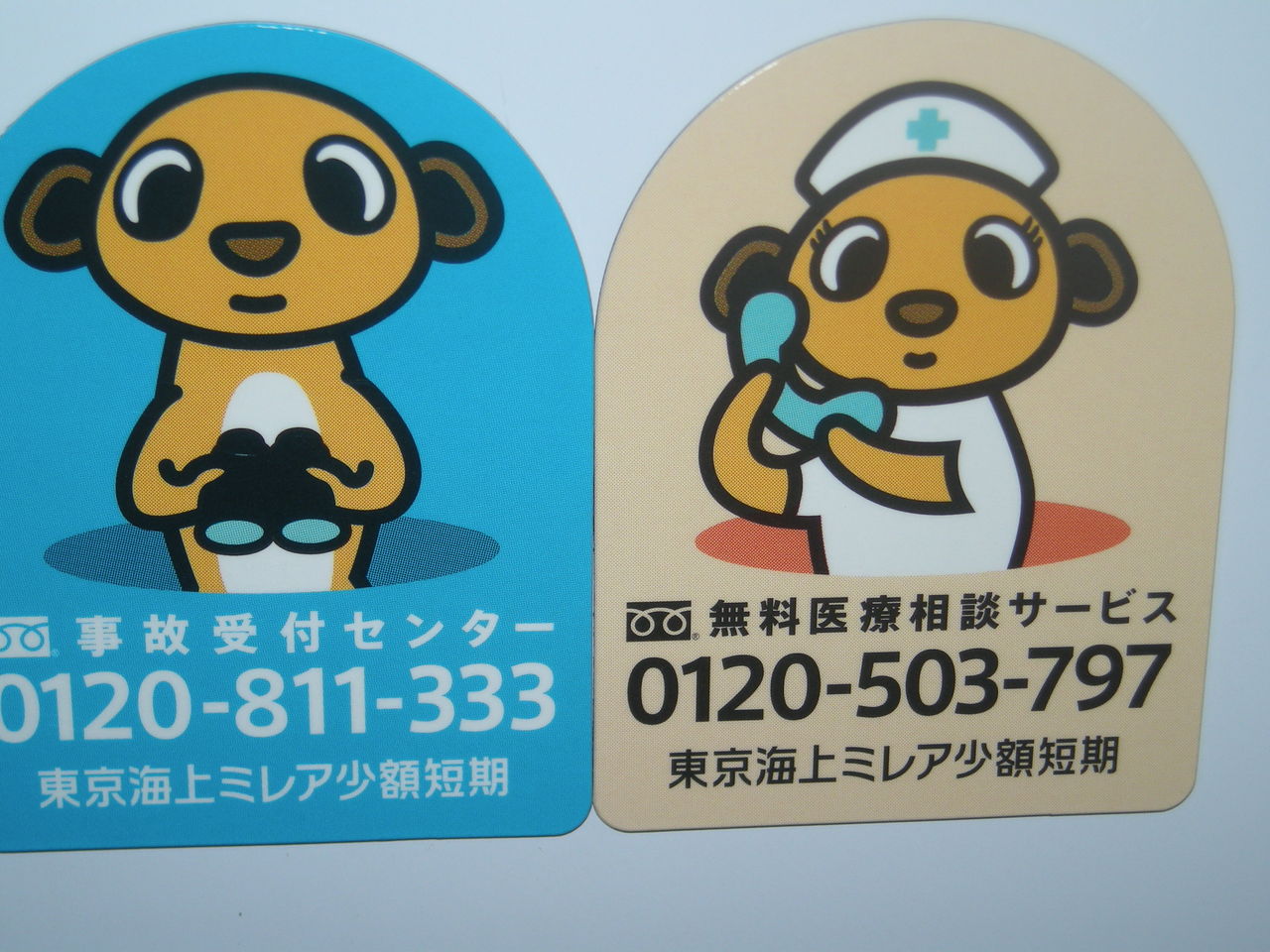 アシストスタッフBlog東京海上ミレア少額短期保険の・・・ アシストスタッフBlog東京海上ミレア少額短期保険の・・・