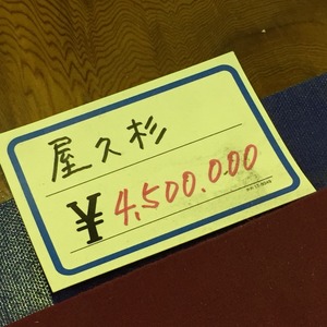 屋久杉