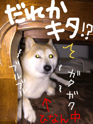 BlogPaint