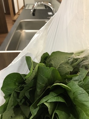お野菜もらった アシストホーム