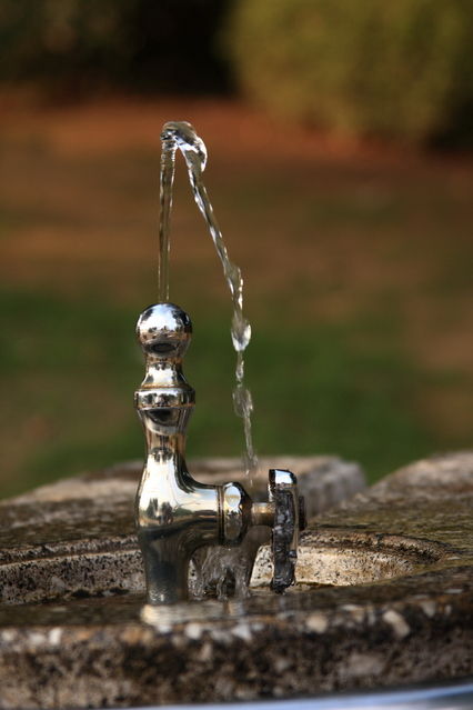 水飲み場