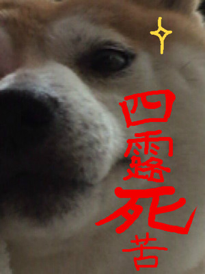 BlogPaint